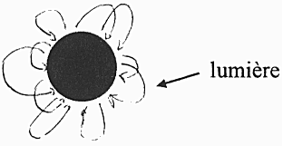 Trou noir